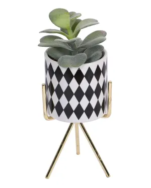 Skyline Succulents Artificial Plant with Ceramic Pot & Metal Tripod Stand | 8 inches
